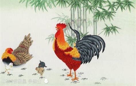 1969 生肖